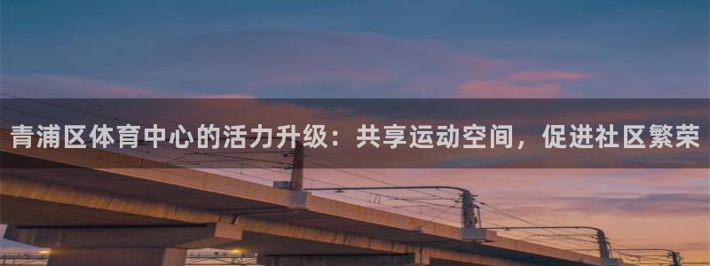 青浦区体育中心的活力升级：共享运动空间，促进社区繁荣