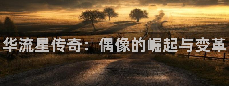 华流星传奇：偶像的崛起与变革
