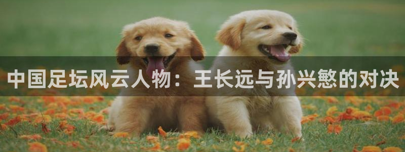 中国足坛风云人物：王长远与孙兴慜的对决