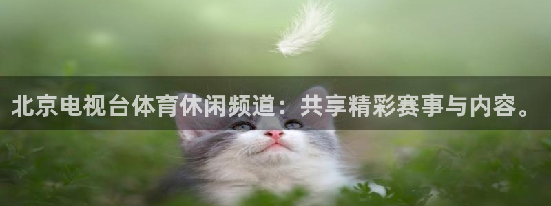 北京电视台体育休闲频道：共享精彩赛事与内容。