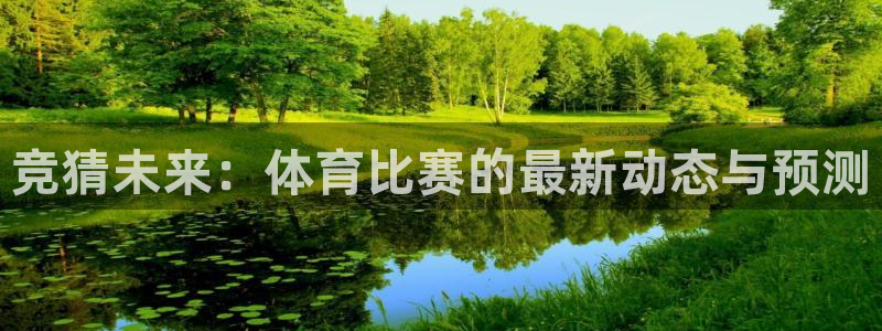 竞猜未来：体育比赛的最新动态与预测