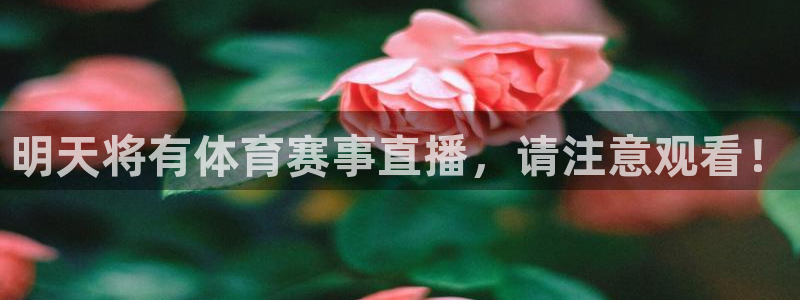 明天将有体育赛事直播，请注意观看！