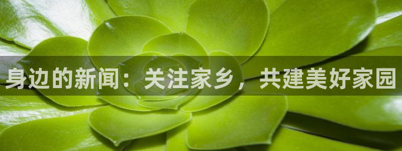 身边的新闻：关注家乡，共建美好家园