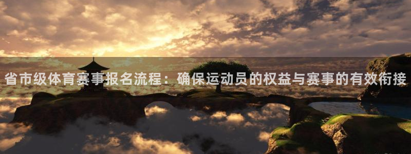 省市级体育赛事报名流程：确保运动员的权益与赛事的有效衔接
