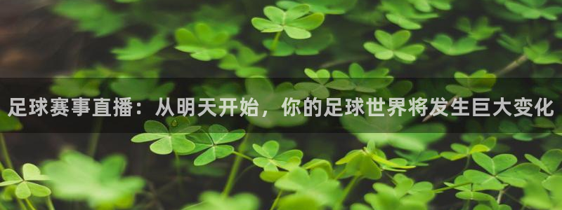 足球赛事直播：从明天开始，你的足球世界将发生巨大变化