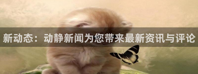 新动态：动静新闻为您带来最新资讯与评论