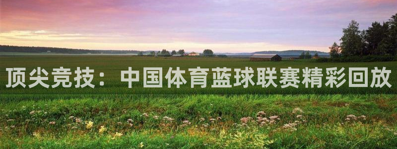 顶尖竞技：中国体育蓝球联赛精彩回放